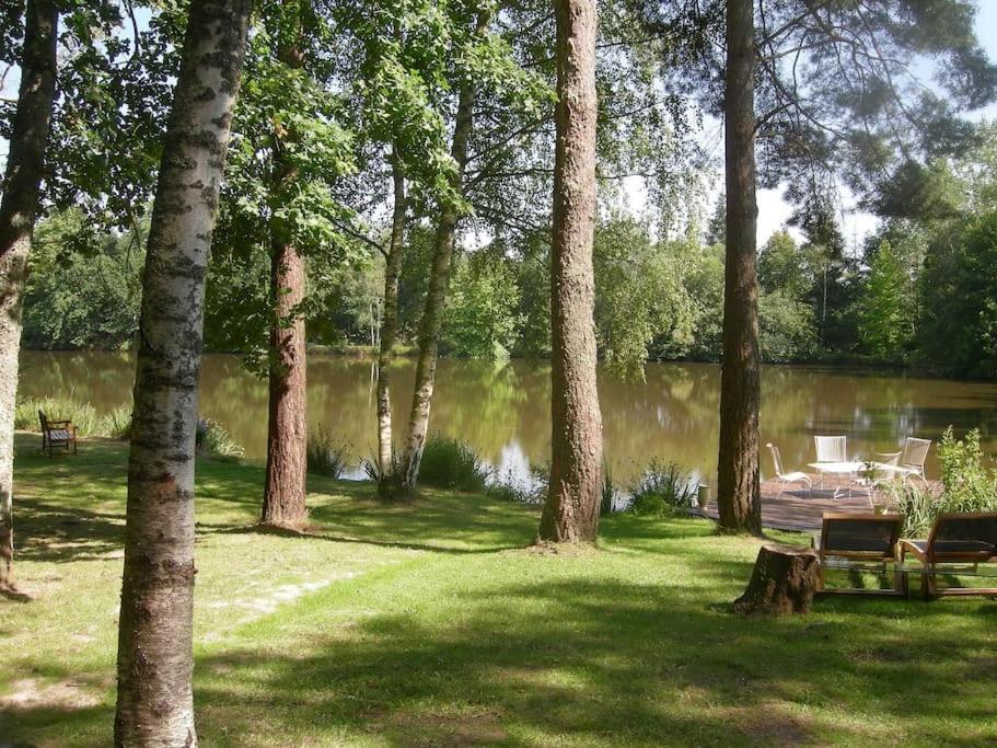 Paradis Perdu En Sologne Avec Plage Privee Villeny エクステリア 写真