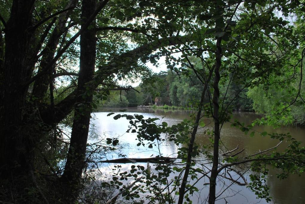Paradis Perdu En Sologne Avec Plage Privee Villeny エクステリア 写真